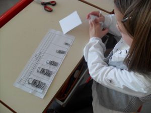 SAM_0247