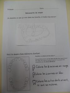 SAM_0260