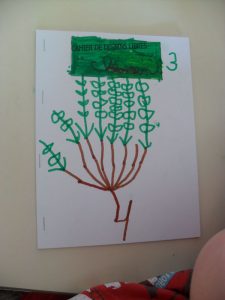 SAM_0452