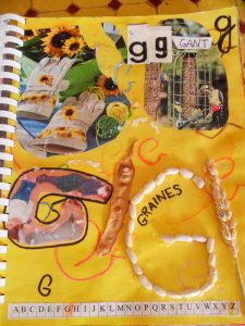 SAM_1712