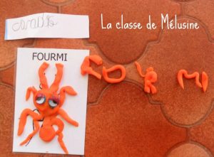 fourmi_2