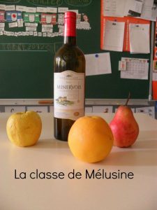 modèle nature morte