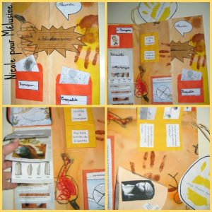 lapbook 1
