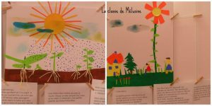 Carle 2