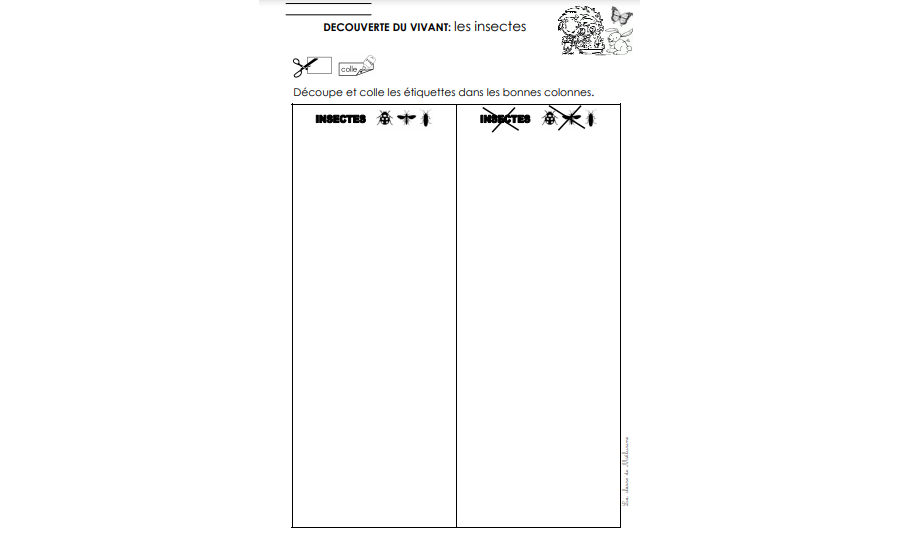 Fiche récapitulative: tri insectes ou pas