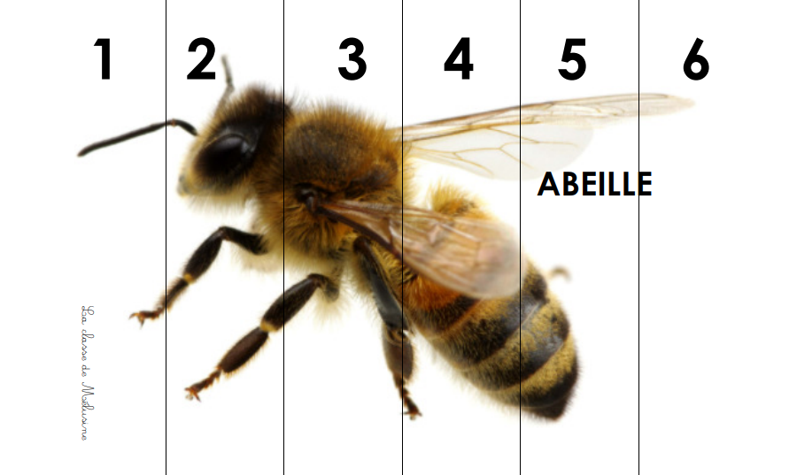 Les puzzles numériques d'insectes et petites bêtes