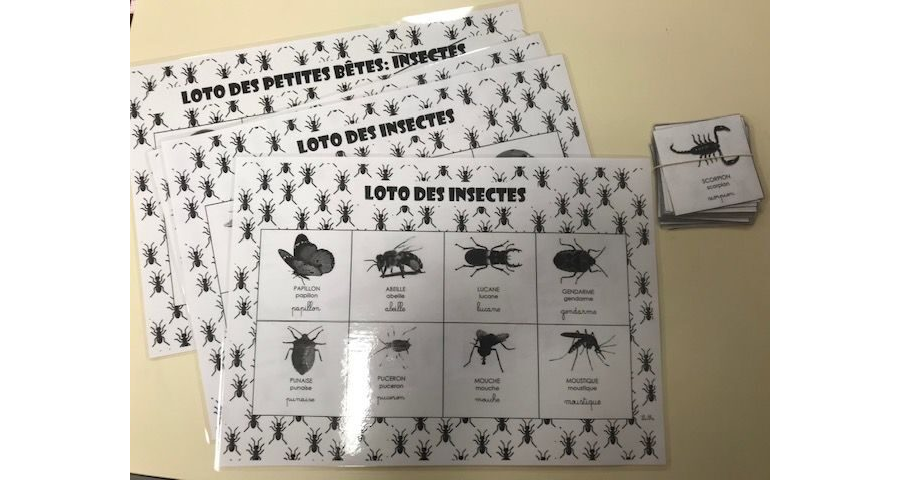 Le loto des insectes et petites bêtes