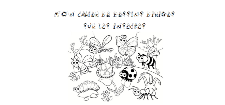 Le carnet de dessins dirigés d'insectes